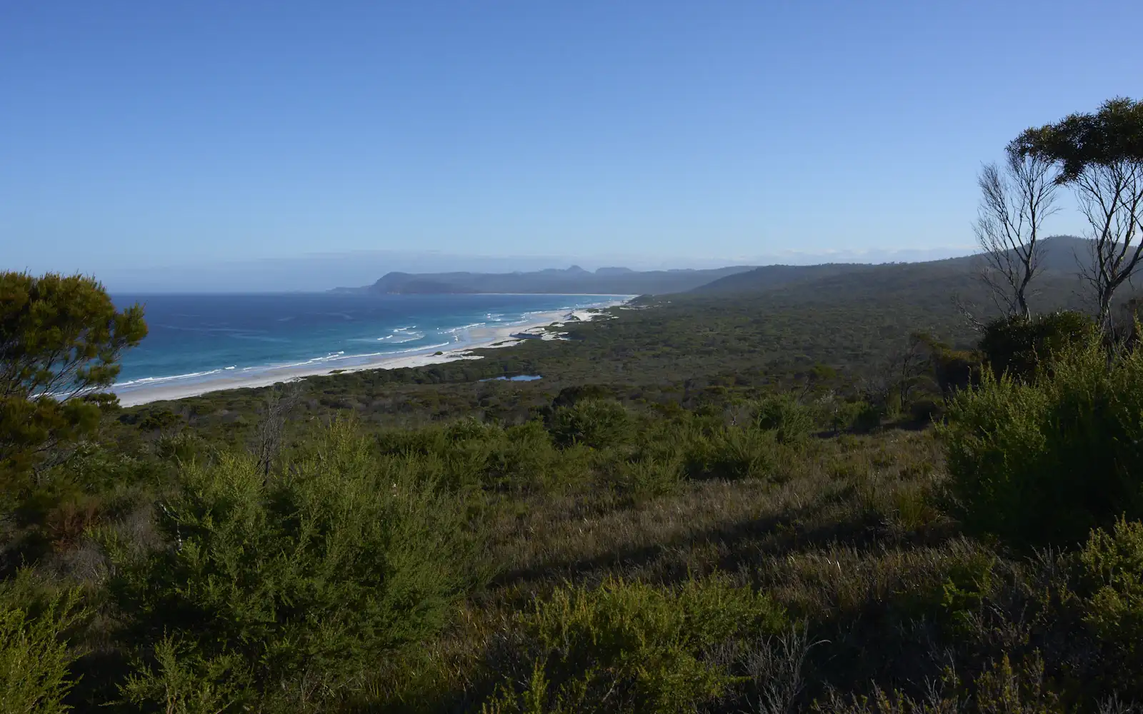 Coastline