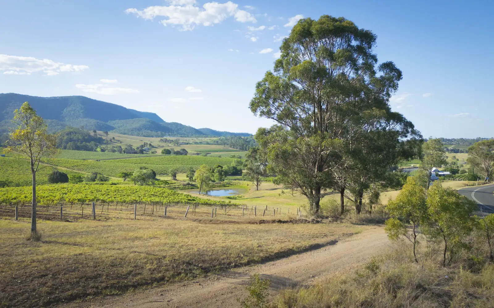Rolling countryside